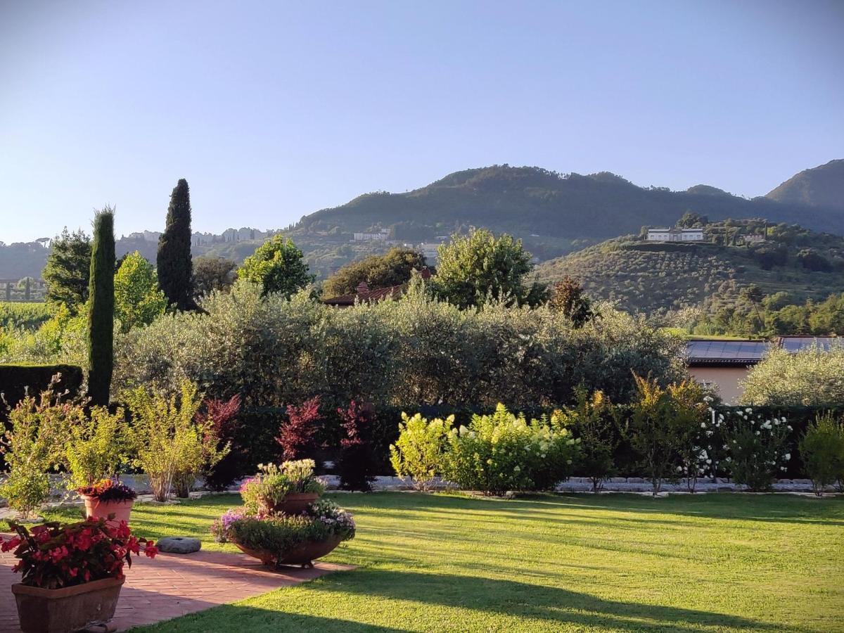 Tuscan Villa Exclusive Use Of Private Pool A/C Wifi Villa Briciola คาปานโนริ ภายนอก รูปภาพ
