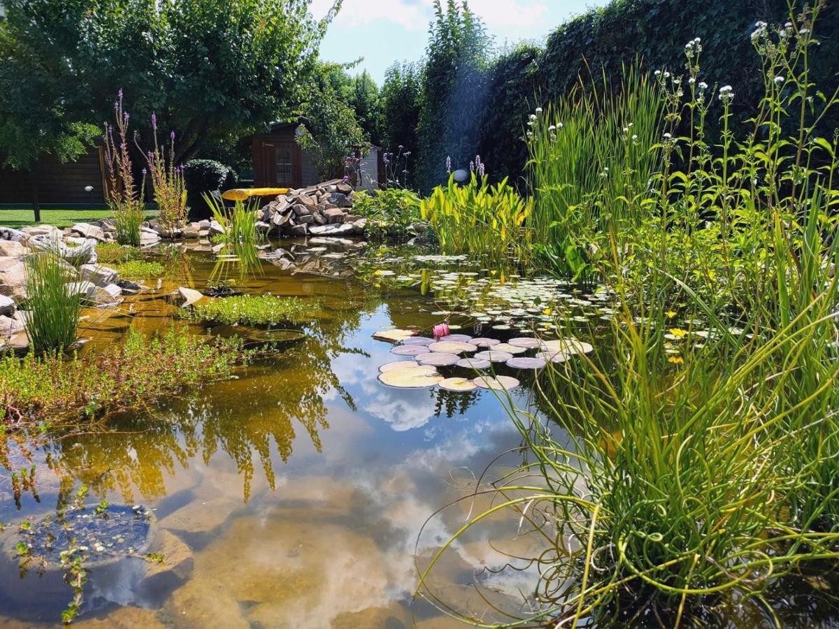 Tuscan Villa Exclusive Use Of Private Pool A/C Wifi Villa Briciola คาปานโนริ ภายนอก รูปภาพ