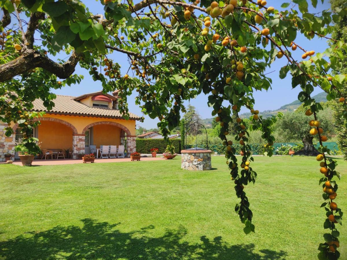 Tuscan Villa Exclusive Use Of Private Pool A/C Wifi Villa Briciola คาปานโนริ ภายนอก รูปภาพ