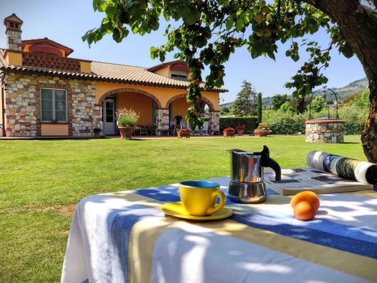 Tuscan Villa Exclusive Use Of Private Pool A/C Wifi Villa Briciola คาปานโนริ ภายนอก รูปภาพ