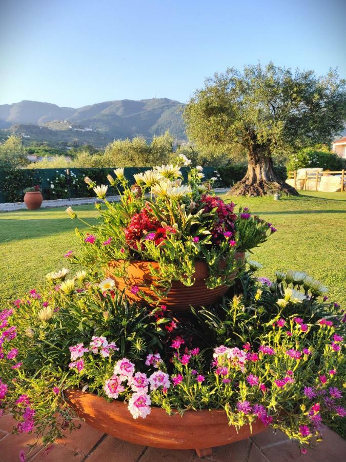 Tuscan Villa Exclusive Use Of Private Pool A/C Wifi Villa Briciola คาปานโนริ ภายนอก รูปภาพ